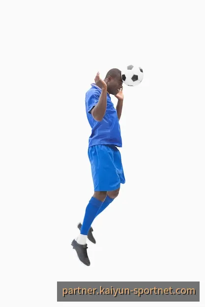 开云体育数字化技术合作与系统架构对接示意图